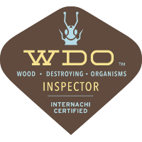 WDO Termite Inspector